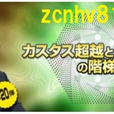 省スペース 洗える おしゃれ 苫米地ワークスDVD第20弾カスタス超越と輪